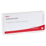 ERYTHROCYTEN GL D 5 Ampullen – PZN 03357487 (PZN 03357487)