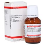 HAPLOPAPPUS D 3 Tabletten – PZN 02924151 (PZN 02924151)