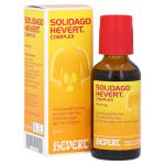 SOLIDAGO HEVERT Complex Tropfen – PZN 04375317 (PZN 04375317)