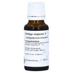 SOLIDAGO VIRGAUREA Urtinktur Hanosan – PZN 07431855 (PZN 07431855)
