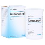 GASTRICUMEEL Tabletten – PZN 00407641 (PZN 00407641)