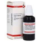 THYMUS VULGARIS Urtinktur – PZN 02932995 (PZN 02932995)