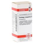 SOLIDAGO VIRGAUREA D 8 Globuli – PZN 00546153 (PZN 00546153)