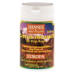 CISTUS INCANUS Vegi-Kaps 400 mg – PZN 04959780 (PZN 04959780)