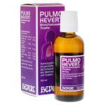 PULMO HEVERT Bronchialcomplex Tropfen – PZN 00353448 (PZN 00353448)