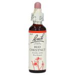 BACHBLÜTEN Red Chestnut Tropfen – PZN 00146778 (PZN 00146778)