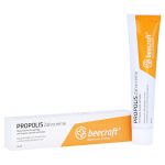 Beecraft Propolis Zahncreme – PZN 15024130 (PZN 15024130)