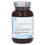 CHLOROPHYLL plus Kapseln – PZN 03823788 (PZN 03823788)