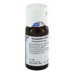BRYOPHYLLUM ARGENTO cultum D 3 Dilution – PZN 01571934 (PZN 01571934)
