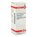 FLOR DE PIEDRA D 6 Dilution – PZN 01771030 (PZN 01771030)
