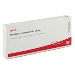 GLANDULAE SUPRARENALES comp.Ampullen – PZN 01751501 (PZN 01751501)