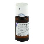 VERATRUM ALBUM D 4 Dilution – PZN 01615198 (PZN 01615198)