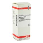 FLOR DE PIEDRA D 6 Dilution – PZN 01771053 (PZN 01771053)