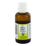 AGNUS CASTUS KOMPLEX Nr.22 Dilution – PZN 01909698 (PZN 01909698)
