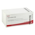 HEPAR SULFURIS COMP.Ampullen – PZN 02233955 (PZN 02233955)