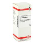SABAL SERRULATUM Urtinktur – PZN 02123511 (PZN 02123511)