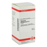 MAGNESIUM PHOSPHORICUM D 12 Tabletten – PZN 02802979 (PZN 02802979)
