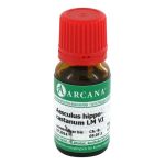AESCULUS HIPPOCASTANUM LM 6 Dilution – PZN 02600253 (PZN 02600253)