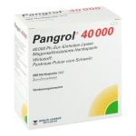 Pangrol 40000 – PZN 02537856 (PZN 02537856)