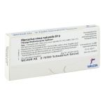 MERCURIUS VIVUS NATURALIS D 12 Ampullen – PZN 02745951 (PZN 02745951)