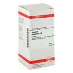 ARGENTUM METALLICUM D 6 Tabletten – PZN 02811748 (PZN 02811748)