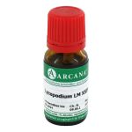 LYCOPODIUM LM 24 Dilution – PZN 03505060 (PZN 03505060)