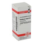 SAMBUCUS NIGRA D 3 Globuli – PZN 02890340 (PZN 02890340)