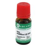 APIS MELLIFICA LM 30 Dilution – PZN 03503598 (PZN 03503598)