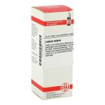LEDUM EXTERN Tinktur – PZN 02890788 (PZN 02890788)