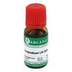 LYCOPODIUM LM 30 Dilution – PZN 03503322 (PZN 03503322)
