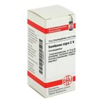 SAMBUCUS NIGRA C 6 Globuli – PZN 04235473 (PZN 04235473)