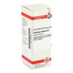 CORALLIUM RUBRUM D 6 Dilution – PZN 04213922 (PZN 04213922)