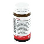 LEVISTICUM E radice D 6 Globuli – PZN 08786448 (PZN 08786448)