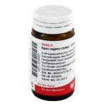 APIS REGINA comp.Globuli – PZN 08783591 (PZN 08783591)