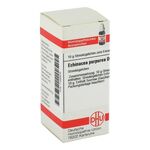 ECHINACEA PURPUREA D 6 Globuli – PZN 07166979 (PZN 07166979)