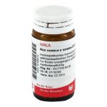 NUX VOMICA E semine D 12 Globuli – PZN 08786810 (PZN 08786810)