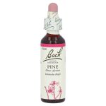 Bachblüten Pine Tropfen – PZN 00125925 (PZN 00125925)