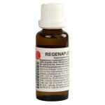REGENAPLEX Nr.510 a Tropfen – PZN 08800510 (PZN 08800510)