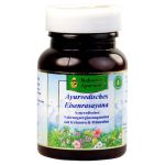 Ayurvedisches Eisenrasayana Tabletten – PZN 06893192 (PZN 06893192)