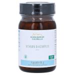 Vitamin B Komplex aktiv Kapseln – PZN 09894594 (PZN 09894594)