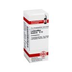LACHNANTHES tinctoria D 12 Globuli – PZN 07248140 (PZN 07248140)