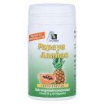 PAPAYA ANANAS Enzym Kapseln – PZN 02194161 (PZN 02194161)