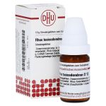 RHUS TOXICODENDRON D 12 Globuli – PZN 01783731 (PZN 01783731)
