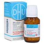 DHU Silicea Pentarkan für das Bindegewebe Tabl. – PZN 12421103 (PZN 12421103)