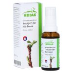 GEMMOMAZERAT Rubus idaeus Spray – PZN 13306249 (PZN 13306249)