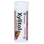 Miradent Zahnpflegekaugummi Xylitol Zimt – PZN 04302784 (PZN 04302784)