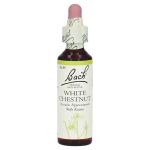 Bachblüten White Chestnut Tropfen – PZN 00170104 (PZN 00170104)