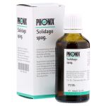 PHÖNIX SOLIDAGO spag.Mischung – PZN 04223725 (PZN 04223725)