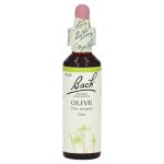 Bachblüten Olive Tropfen – PZN 00125919 (PZN 00125919)