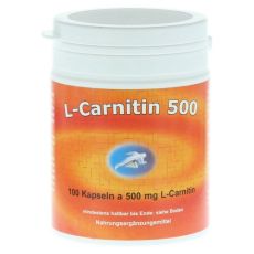 L-CARNITIN KAPSELN 500 mg (PZN 00912439)